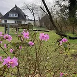 Heidelodge * 内伯尔