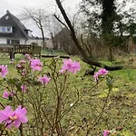 Prázdninový dům Heidelodge