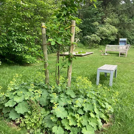 Heidelodge 度假居