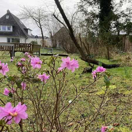 度假居 Heidelodge