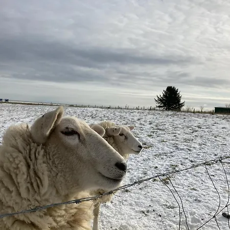 Heidelodge 度假居 内伯尔