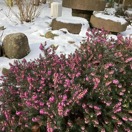 Heidelodge 度假居 *