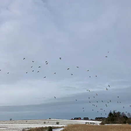 度假居 Heidelodge 内伯尔