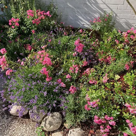 Heidelodge * 内伯尔