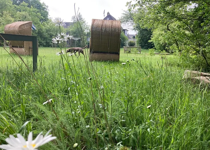 Heidelodge Nebel