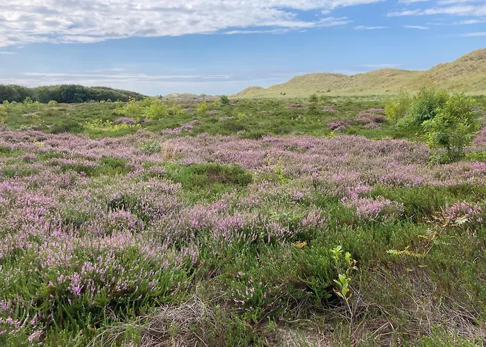 Heidelodge Holiday home Nebel