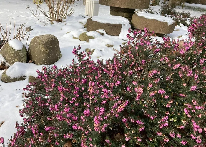 Heidelodge Holiday home *