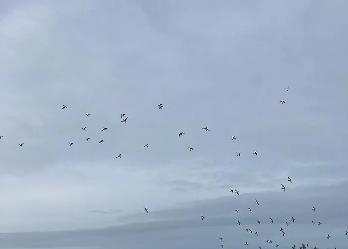 Holiday home Heidelodge Nebel